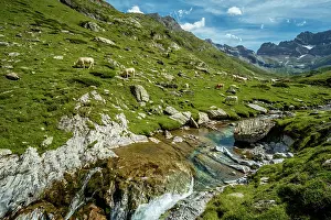 Mountainside: 80184039 The Cirque Of Estaube Hautes Pyrenees