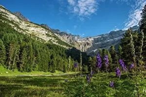 Cirque: 80184043 The Cirque Of Gavarnie, Hautes Pyrenees