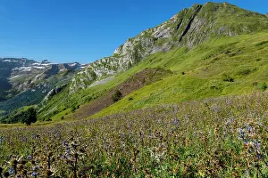 Mountainside: 80184062 Plateau de Saugue Cirque Of Gavarnie, Hautes