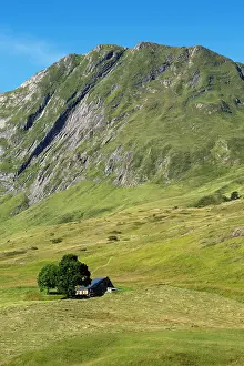Hautes: 80184064 Plateau de Saugue Hautes Pyrenees, France
