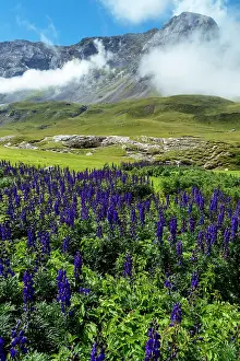 Mountainside: 80184082 The Cirque De Troumouse Hautes Pyrenees