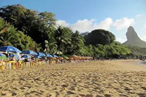 Rive: 80184138 Beach Fernando de Noronha, Pernambuco