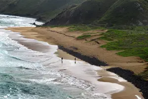 Seashore: 80184141 Beach Fernando de Noronha, Pernambuco