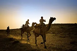 Camels: 80184144 Camels - silhouette of riding camel Jaisalmer