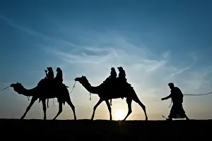 Sunsets: 80184146 Camels - silhouette of riding camel Jaisalmer