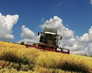 Parco: 80184160 Crops - being harvested Parco Agricolo