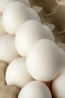 Composition: 80184163 Eggs Agenzia Giornalistica Fotografica