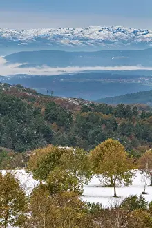 Galicia: 80184388 Snowy Landscape Allariz, Galicia, Spain