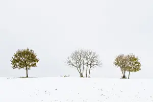 Galicia: 80184389 Snowy landscape Allariz, Galicia, Spain