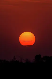 Tadoba: 80184633 Sunset Tadoba Andheri Tiger Reserve (TATR)