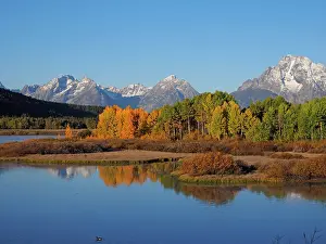 Bend: 80184749 Oxbow Bend - foliage with Mount Moran in