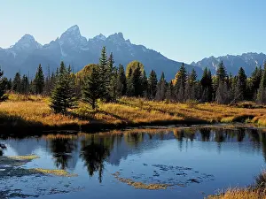 Schwabacher: 80184752 Grand Teton - view at Schwabacher Landing