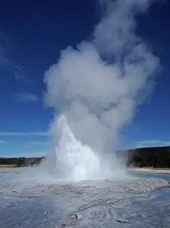 Basin: 80184761 Fountain Geyser Lower Geyser Basin, Yellowstone