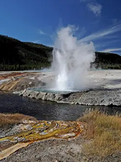 Basin: 80184764 Cliff Geyser, Black Sand Basin Yellowstone