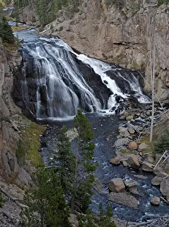 Gibbon: 80184766 Gibbon falls Yellowstone National Park
