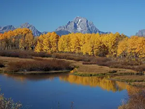 Bend: 80184769 Autumn colour at Oxbow bend with Mount