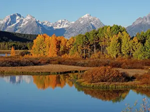 Teton: 80184778 Oxbow Bend - landscape in autumn colour