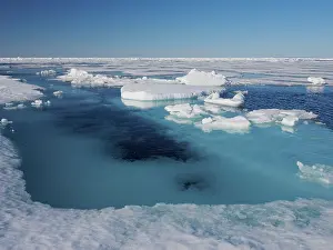 Pack: 80184826 Pack Ice Svalbard, Norway Stefan Meyers