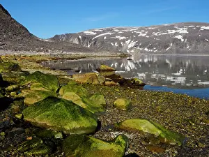 Stefan Meyers: 80184832 Virgohamna Svalbard, Norway Stefan Meyers