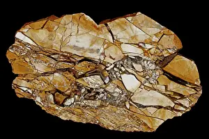 Brecciated: 80185267 Mookaite, Brecciated radiolarite, composed