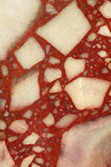Polished: 80185269 Breccia - close-up of polished cross-section