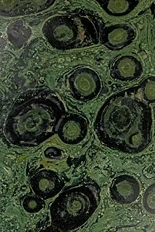 Jasper: 80185271 Fossil stromatolite, Kambaba jasper, close-up