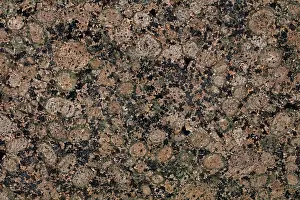 Granite: 80185274 Rapakivi Granite: Finland, A hornblende-biotite