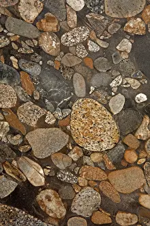 Conglomerate: 80185276 Conglomerate, polymictic, sedimentary rock