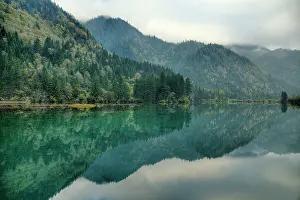 Arrow: 80185279 Bamboo Arrow Lake Jiuzhaigou National Park