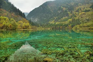 Multi: 80185281 Multi-coloured Lake Jiuzhaigou National