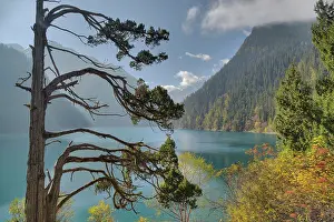 Sichuan: 80185284 Long Lake Jiuzhaigou National Park, Sichuan