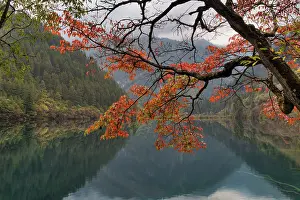 Jiuzhaigou: 80185286 Mirror Lake & Autumn Colour Jiuzhaigou