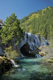 Jiuzhaigou: 80185293 Pearl Shoal Waterfall Jiuzhaigou National