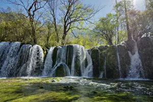 Jiuzhaigou: 80185298 Shuzheng Waterfalls Jiuzhaigou National