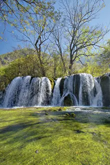 Jiuzhaigou: 80185299 Shuzheng Waterfalls Jiuzhaigou National