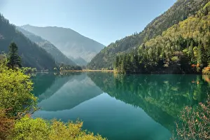Arrow: 80185300 Bamboo Arrow Lake Jiuzhaigou National Park