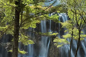 Jiuzhaigou: 80185302 Nuorilang Waterfall Jiuzhaigou National