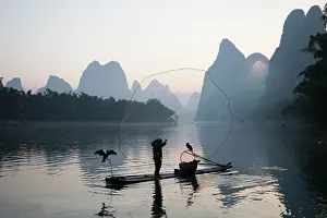 Fisherman: 80185358 Cormorant Fisherman Throwing Fish Net on