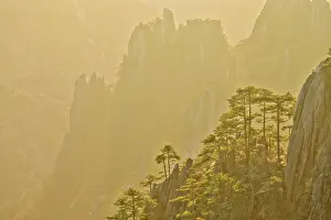 Huangshan: 80185368 Yellow Mountains (Huangshan) Dawn Light