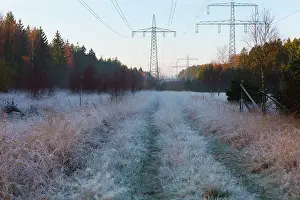 Electric: 80185949 Hoar Frost - on grass - amongst electric