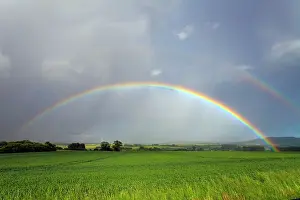 Double: 80186089 Double Rainbow - over arable land Lower