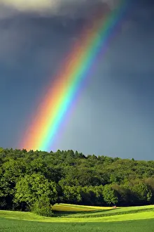 Arable: 80186091 Rainbow - over woodland and arable land