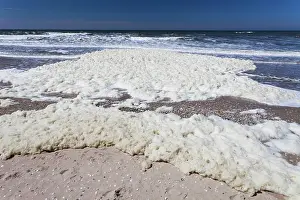 Foam: 80186137 Froth and Scum - the aftermath from a storm