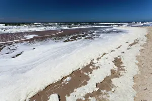 Foam: 80186138 Froth and Scum - the aftermath from a storm