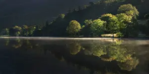 Guy Rogers: 80186201 Trees along the banks of Llyn Gwynant being