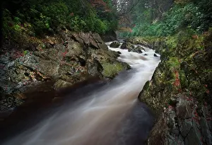 Mining: 80186696 River Mawddach - Autumn Coed-y-Brenin