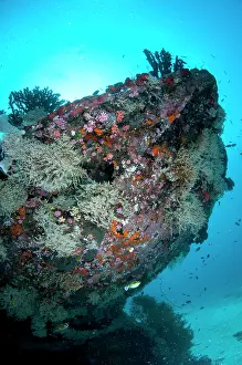 Wreck: 80186749 Cross wreck - bow of wreck with sun in