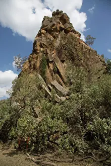 Column: 80186913 The volcanic column named Fischer's Rock