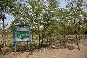 Peace: 80186922 Signboard displaying adjacent Peace Zone