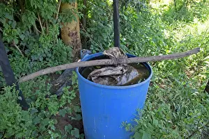 Making: 80186938 Making liquid fertilser Naobibi Environmental